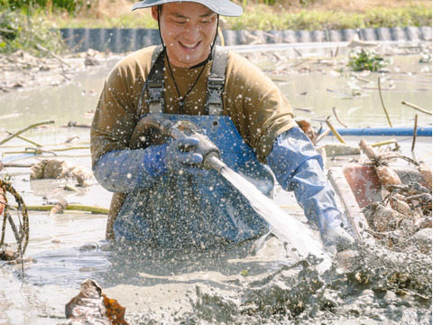 シャキモチ食感‼︎れんこん（大小込み）2kg