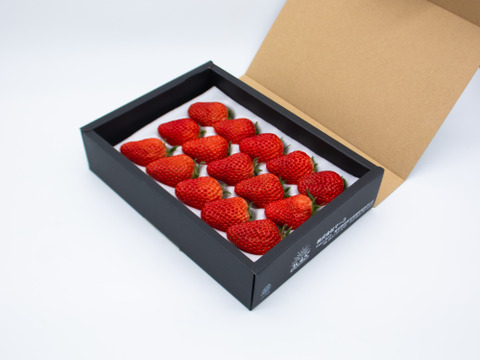 【4L以上大粒限定】厳選紅ほっぺ9粒～15粒