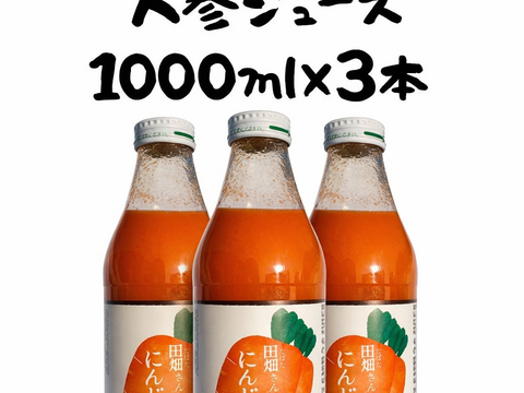 栽培期間中農薬不使用　自家栽培　長野産にんじんジュース　1000ml×3本