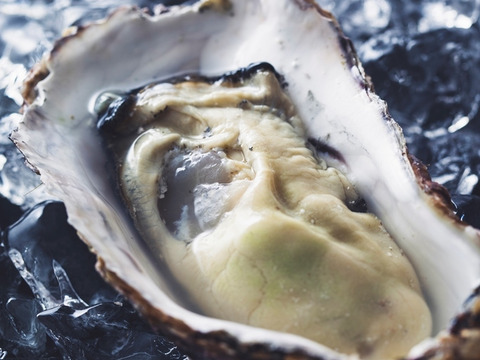 大人気お取り寄せ！広島県音戸産　生で安心して食べられる　美浄生牡蠣　殻付きとむき身のセット