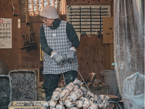 シャキモチ食感‼︎れんこん（大小込み）2kg