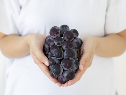 ☆予約注文☆ 皮ごと丸ごと！広島県産ナガノパープル１房【約400g】（８月下旬順次発送）