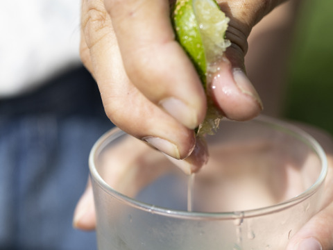 爽やかな香り！自然栽培摘果みかん　４ｋｇ