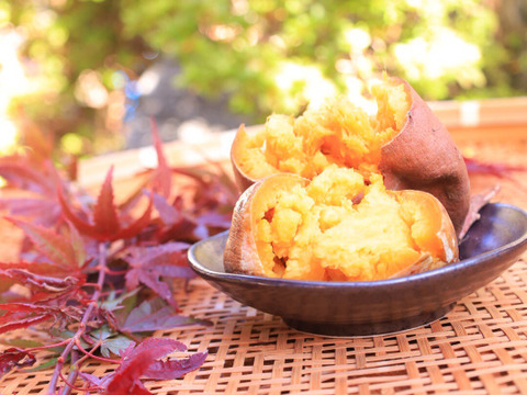 【熟成さつまいも3種食べ比べ】種類別の蜜たっぷりの焼き芋を贅沢に楽しめる〈厳選〉安納芋・紅はるか・安納黄金（3kg）🍠🍯ひとつひとつ紙に包んでお届けでプレゼントにも大人気🎁✨熨斗承ります！
