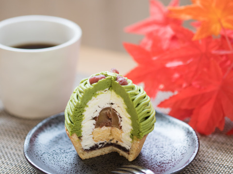 栗産地こだわりの『城川オリジナルモンブラン3個入』『&抹茶と和栗のモンブラン3個入』計6個セット