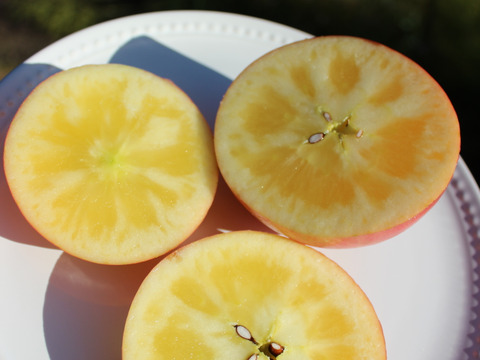 【予約開始】３個 ８８８,８８８円の高級リンゴ！限定３０セット！！大切な方へのギフトに最適！青森県弘前市のとんがり▲まさひろ林檎園から