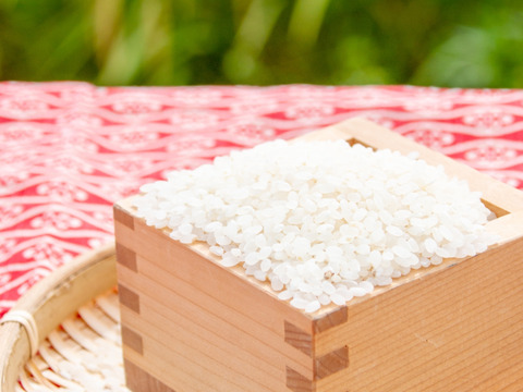 【新米予約販売】食べてみて北海道米っ!令和3年産 ななつぼし 玄米5kg 農カード付