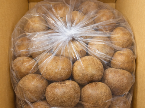 福岡八女産キウイ（アップルキウイ）約6kg｜食べごろサイズ中心｜農薬・化学肥料不使用｜ご家庭用