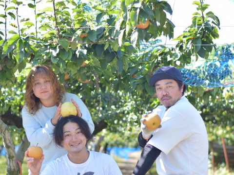 梨の甘さをそのまんま！なしのジュース180mℓ×6本セット