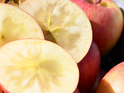 權之丞の葉取らずミックス！　🏆2025年りんごGP金賞受賞🎊葉取らず高徳&葉取らずサンふじ　家庭用2kg【5〜10個入り】