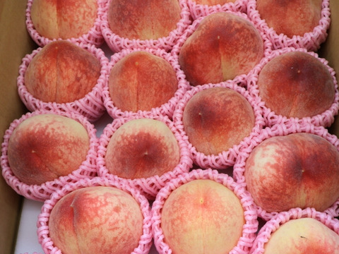 【特別価格！ワケあり】極早生桃「はなよめ」4.5kg【2日間限定】