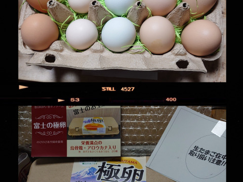 【大好評につき継続販売】スペシャル5種食べ比べ20個セット！富士山の麓でのびのび育ったたまご【食べチョクアワード入賞】
