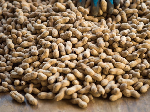 【落花生】炒りさやなかてゆたか 270g【4個セット】