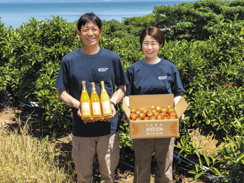 採れたまんま便【ゆらみかん2S～L混合】箱込8キロ