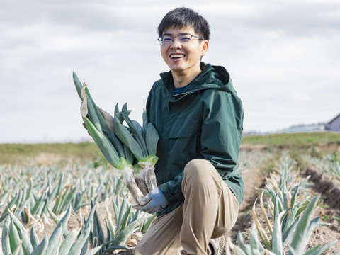 殿様も愛した「下仁田葱」Lサイズ12本