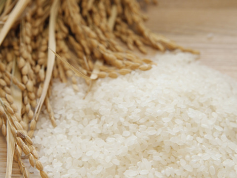 🌾 農薬化学肥料不使用栽培【きぬむすめ】白米5kg （玄米/分つき精米可）
