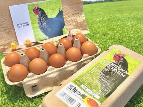 濃厚！希少品種『ネラ』の黒鶏（くろどり）の卵（30個入）