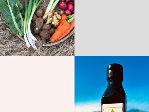 農薬・化学肥料・動物性肥料は一切不使用【自然栽培・菌ちゃん農法】丹沢山麓の固定種・在来種野菜Mセット&えごま油　80サイズ5〜8品種