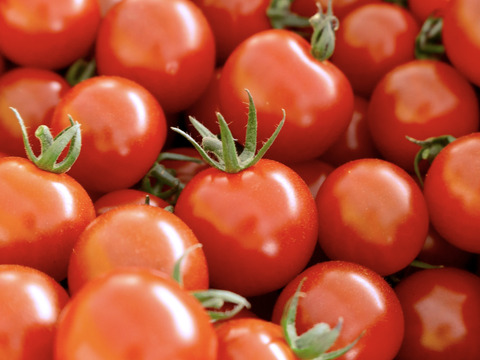 【福袋2025】贅沢無添加トマトジュースと贅沢トマトジャムの豪華セット