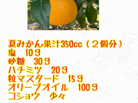 鹿児島県産「甘夏みかんと橙の詰め合わせ」10㎏