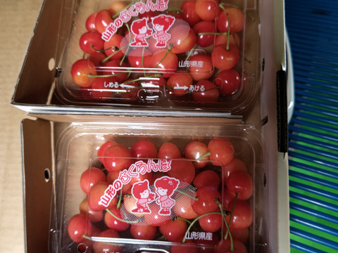 佐藤錦　○秀以上　L以上　200gx2入り