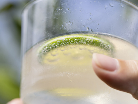 爽やかな香り！自然栽培摘果みかん　４ｋｇ