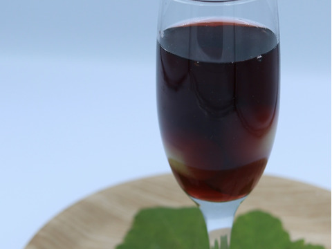 SUGAOヨーグリアセット〜ぶどう３種コンポートとドライフルーツMIX〜