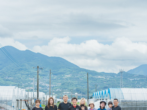 家族の笑顔が広がる完熟ミニトマト「トマランタン」1kg【家庭用熊本県産】