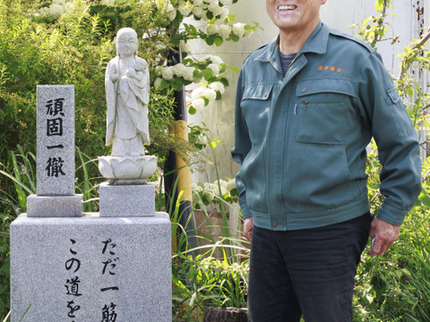 からだに届け、お茶の栄養まるごと。農薬不使用で育てた安心粉末緑茶