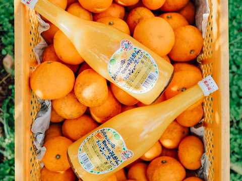 とろっと濃厚！みかんジュース2本セット(720ml×2)