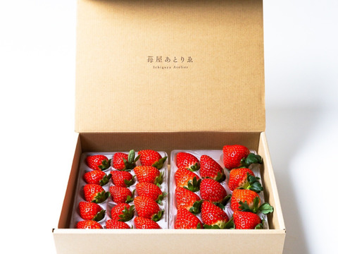 贈答用イチゴ6品種セット　250g×2p【いちご食べ比べ】