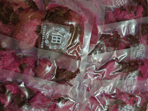 25年産、販売スタート‼️伝統製法の無添加漬物、本物の乳酸菌発酵で腸内元気に！有機野菜の生しば漬け！まとめ買いがお得！10個までOK！