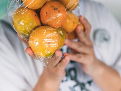 コクのある甘み！【ゆら早生みかん】5㎏