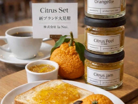 【数量限定】熊本県産・農家直送のジャム 選べる3本セット