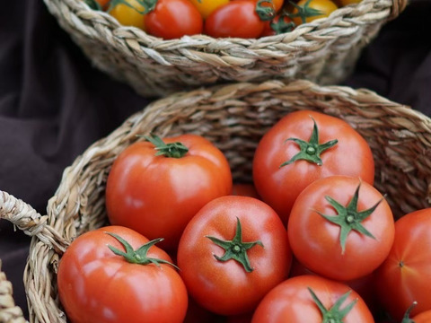 トマト、ミニトマトセット　Iキロ