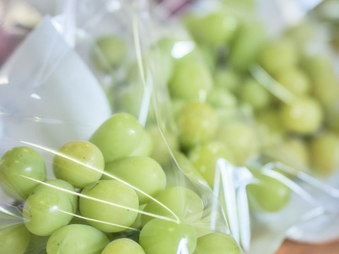 【冬ギフト】ぶどう農家のこだわりアイス＆シャーベット　3種各3個(計9個)