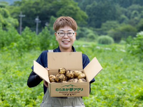 【予約】【極上の甘み】兵庫県但馬産 新じゃが きたあかり５kg