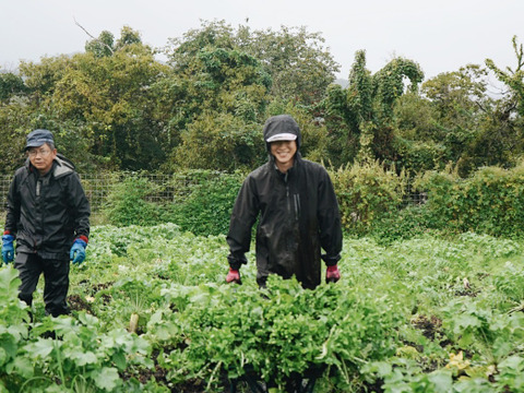【高原大根】　≪神鍋高原、寒暖差のある地域で育まれた水分・甘みたっぷりの大根≫（３本）