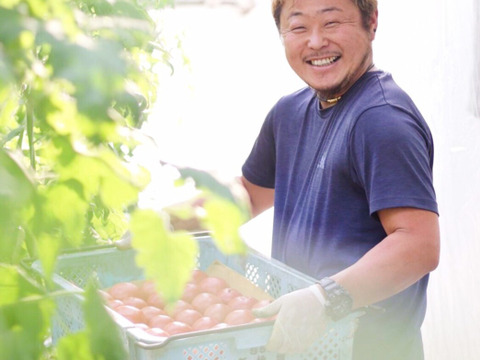 美味さの秘訣は【土耕栽培】にあり！　まーくんトマト　秀優品　八百結び農法　大玉トマト