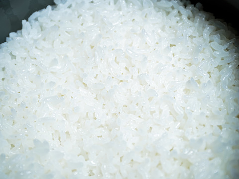 信州伊那谷産長野県オリジナル米風さやか10Kg