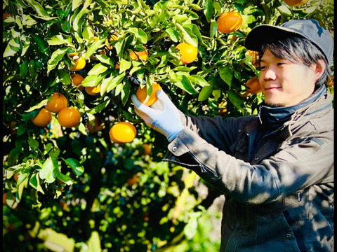 完熟木なり清見オレンジ5kg【訳あり】甘さ濃厚！　農家直送　愛媛県にしうわ