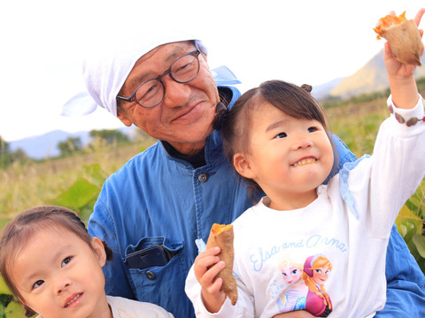 《化粧箱ver》リピーター続出【厳選】熟成安納芋（3㎏）蜜いっぱいのさつまいも🍯🍠高級感のある箱に入れ、ひとつひとつ紙に包んでお届け✨贈り物にピッタリ【冬ギフト】【お歳暮】【贈答用】熨斗承ります。