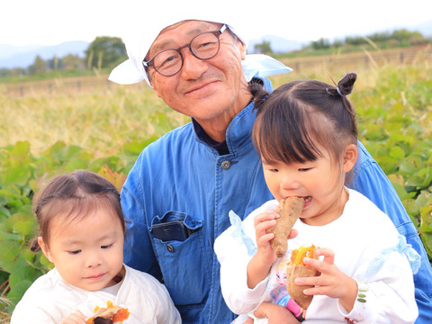 《🉐初回限定500g増量》【📢今が1番甘いから今食べて‼️】希少な幻の安納芋を熟成！濃厚でとろけるような焼き芋をご家庭で🍠🍯【厳選】安納黄金（3㎏）ひとつひとつ紙につつんで丁寧にお届け。熨斗◎