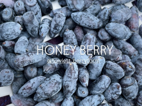 贅沢ハスカップジャム【数量限定・貴重な実をふんだんに使用】※まとめ買い対応