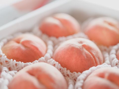 【今が旬！】山梨桃専業農家が暑い夏を届けます!　食べチョク桃　3kg