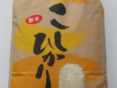 【新米】こしひかり(精米) 5㎏
