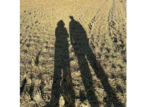 新米　もっちりツヤツヤ！R7長野産コシヒカリ　白米約5キロ　　籾かす多少あり