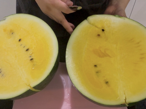 【綺】至福の糖度15-16【サンダーボルト】リジェネレーション『大里果樹園のスイカ』4L-5L