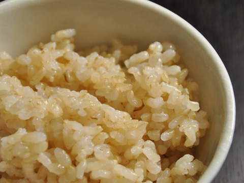 特別栽培米【コシヒカリ玄米10kg 】令和3年産・有機・低農薬（80％以上削減）