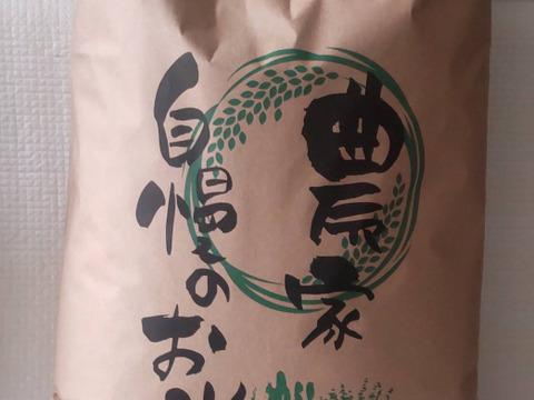 長野県産2025年度もち米　かぐらもち